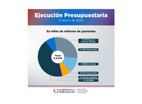 Flyer Ejecución Presupuestaria Enero 2025