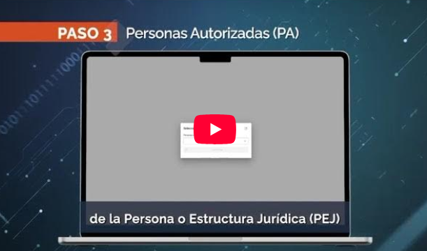 Descripcion de imagen