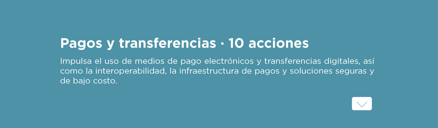 Grupo de Trabajo sobre medios de pago electrónicos y transferencias digitales