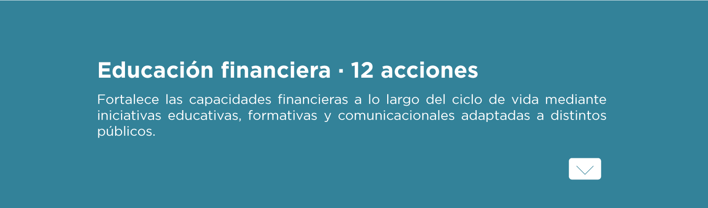 Grupo de Trabajo sobre educación y capacidades financieras