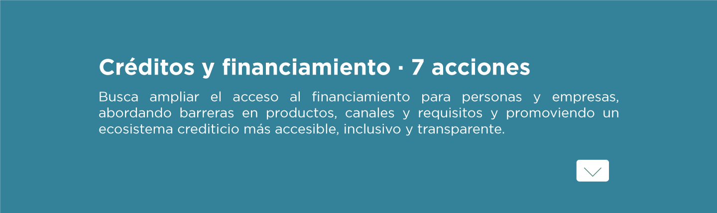 Grupo de Trabajo sobre acceso al financiamiento