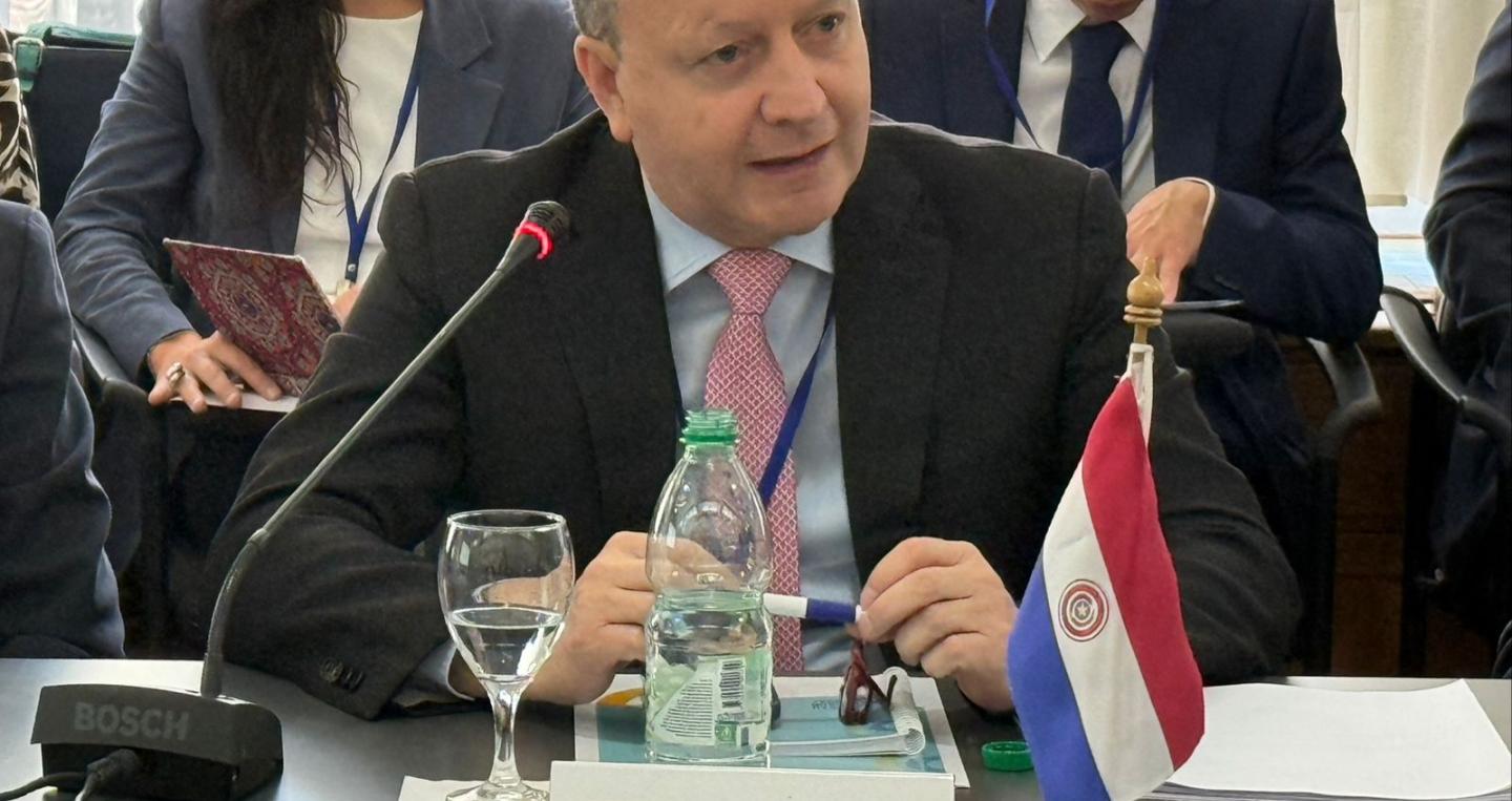 Carlos Fernández Valdovinos en Mercosur