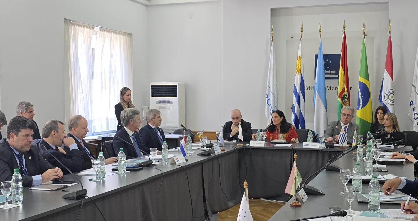 Cumbre del Mercosur
