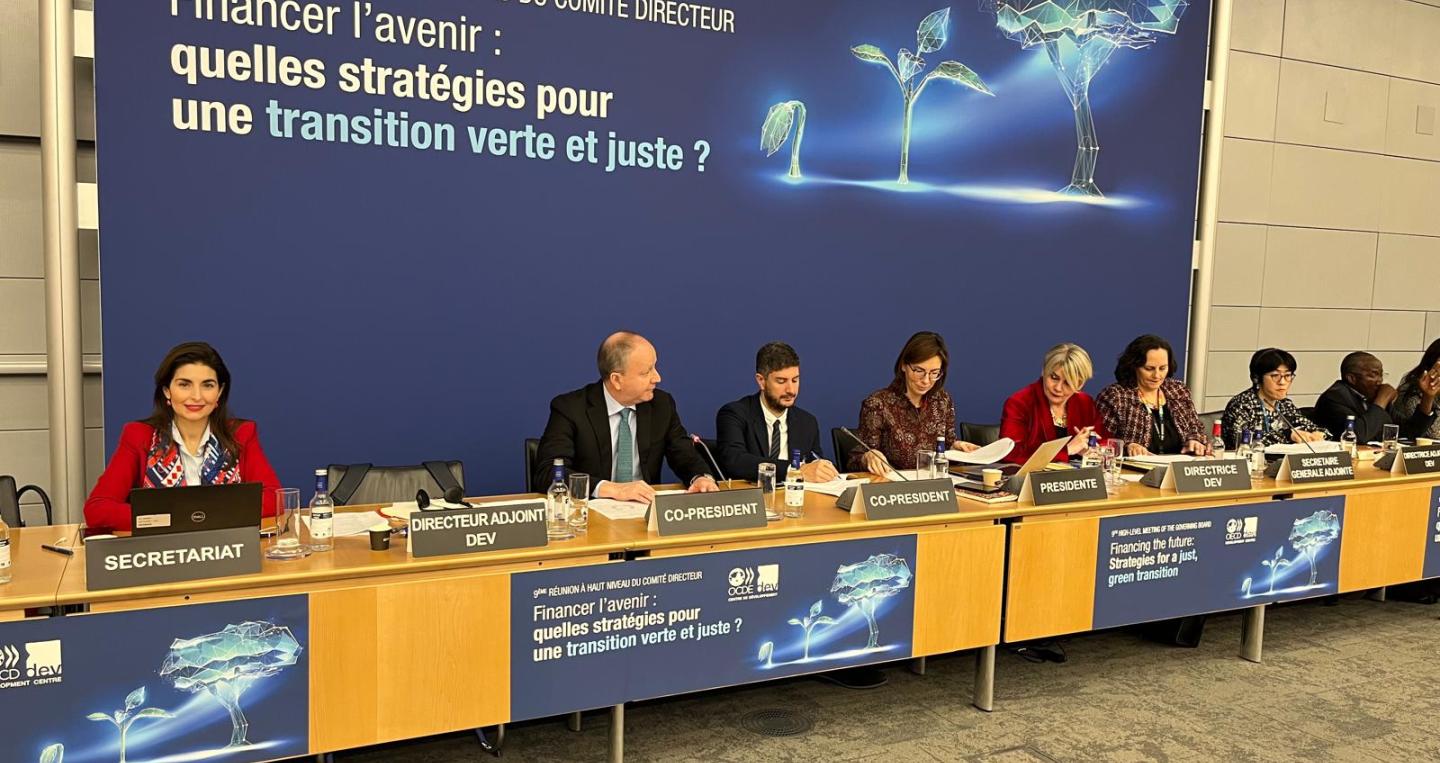 Panel General OCDE