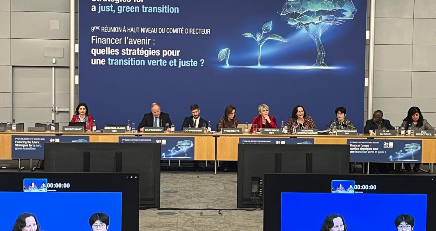 Panel General OCDE