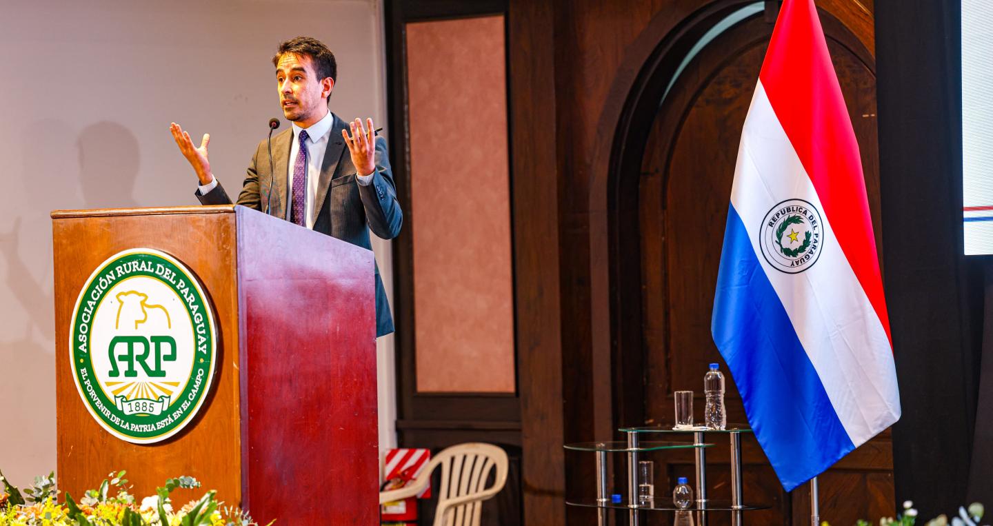 presentación