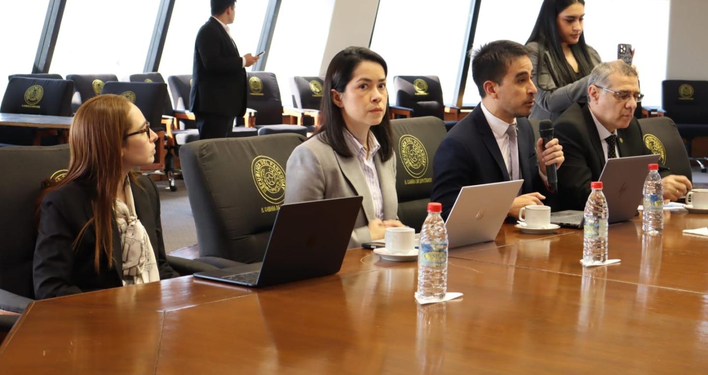 Viceministra Felipe González Soley y equipo técnico 