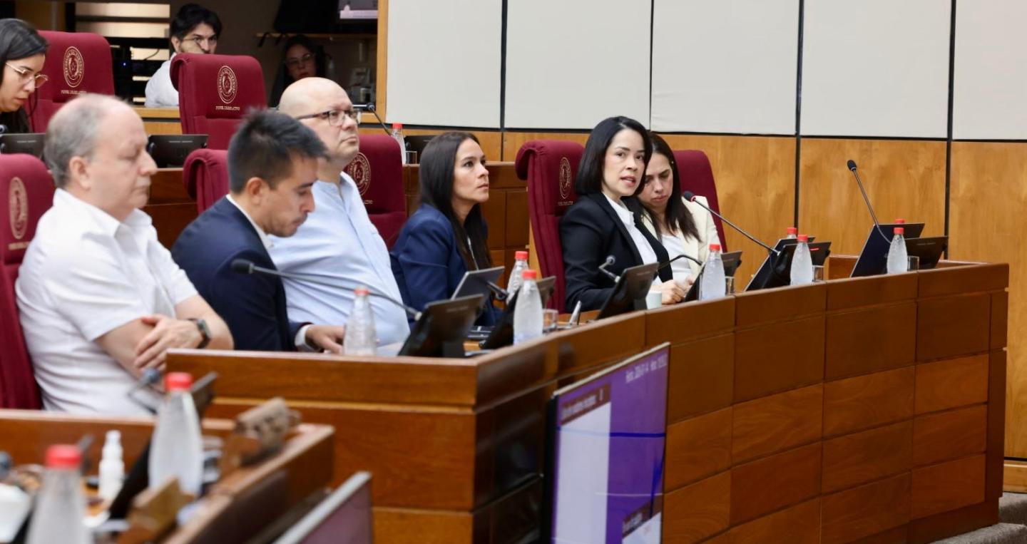 Liz Coronel y Equipo Técnico MEF