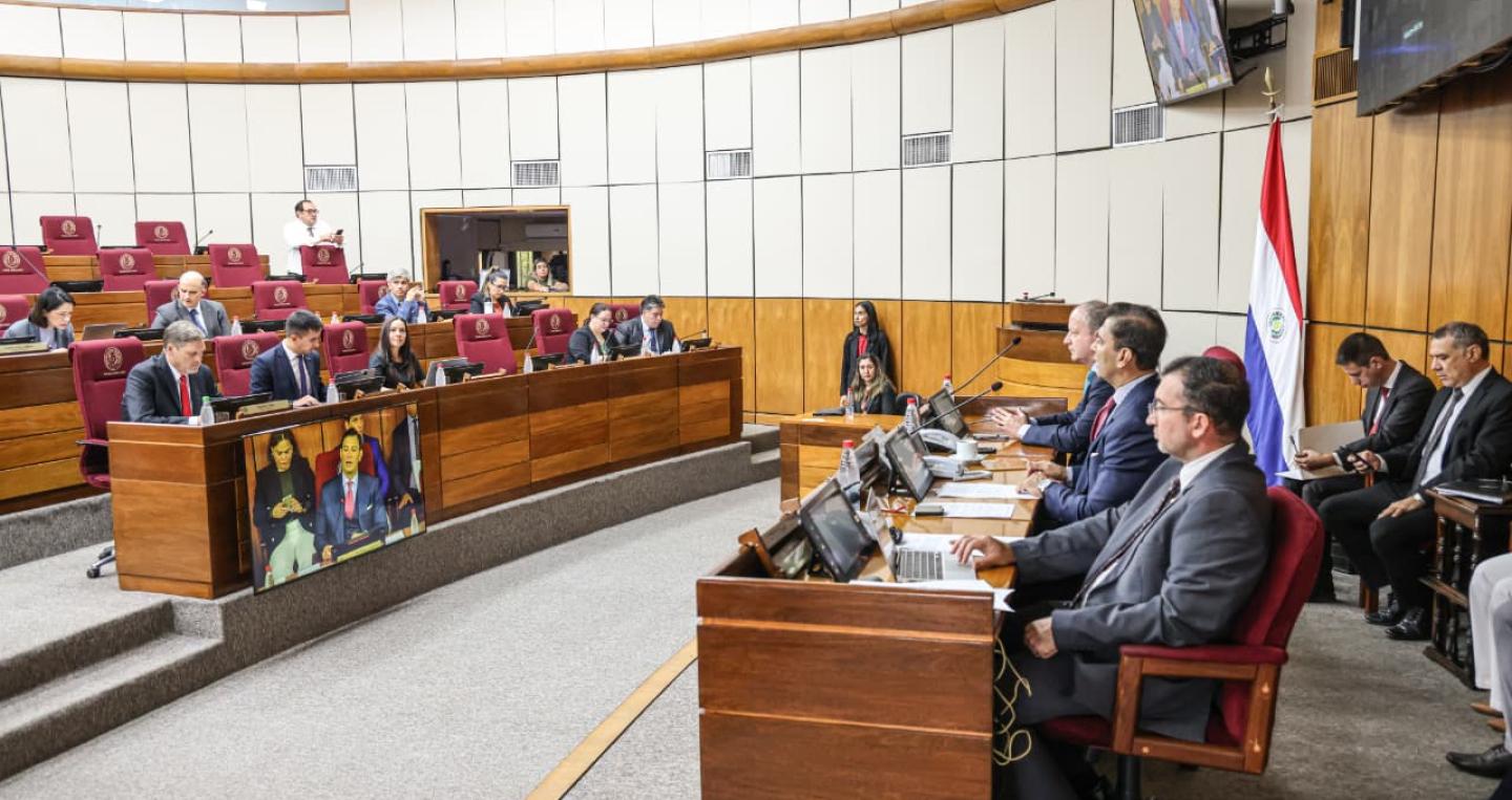 Ministro en el Senado