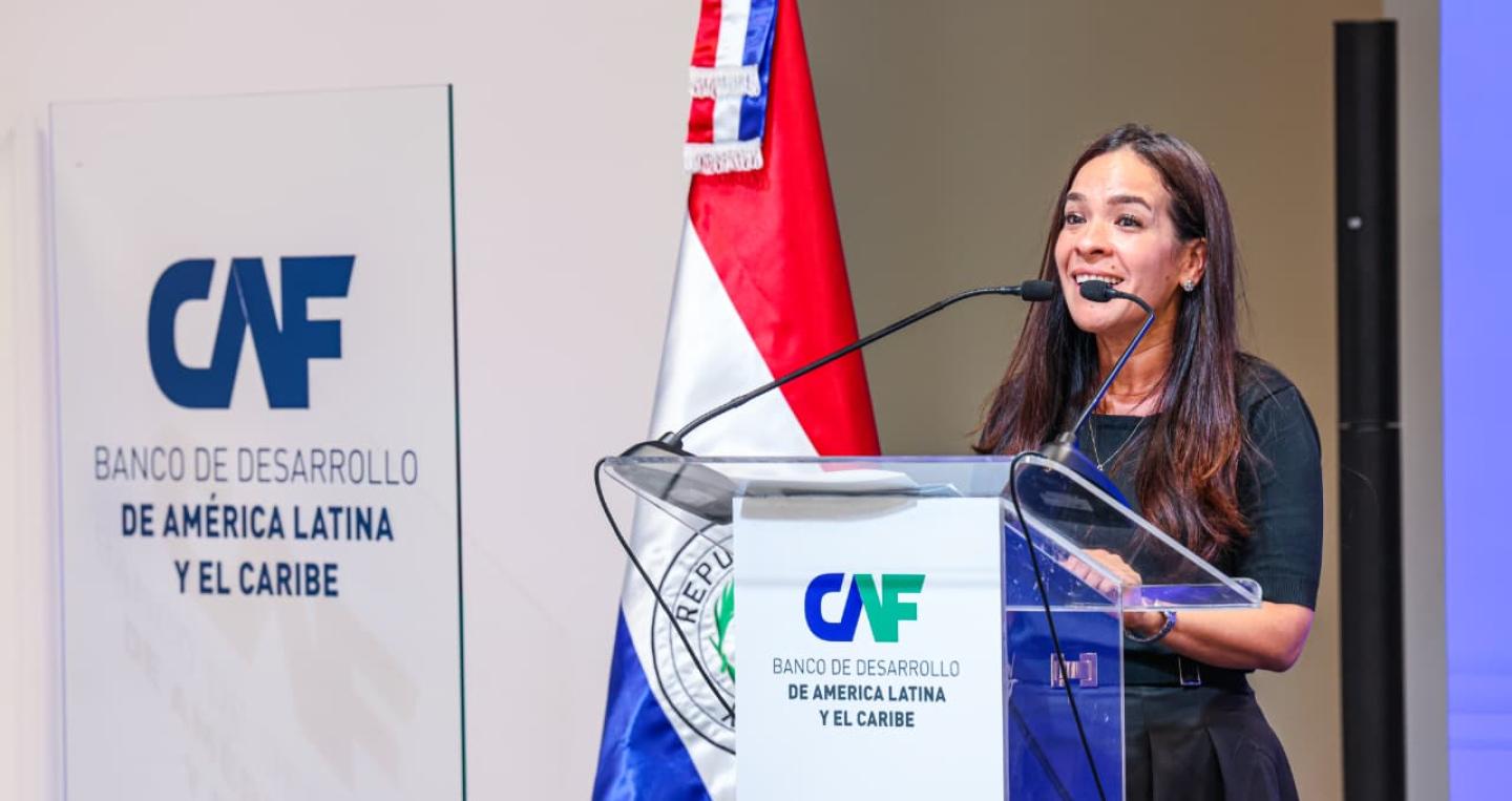 viceministra Andrea Picaso