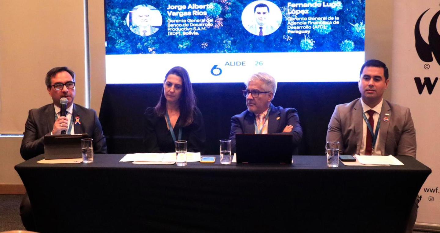 Panel en ALIDE