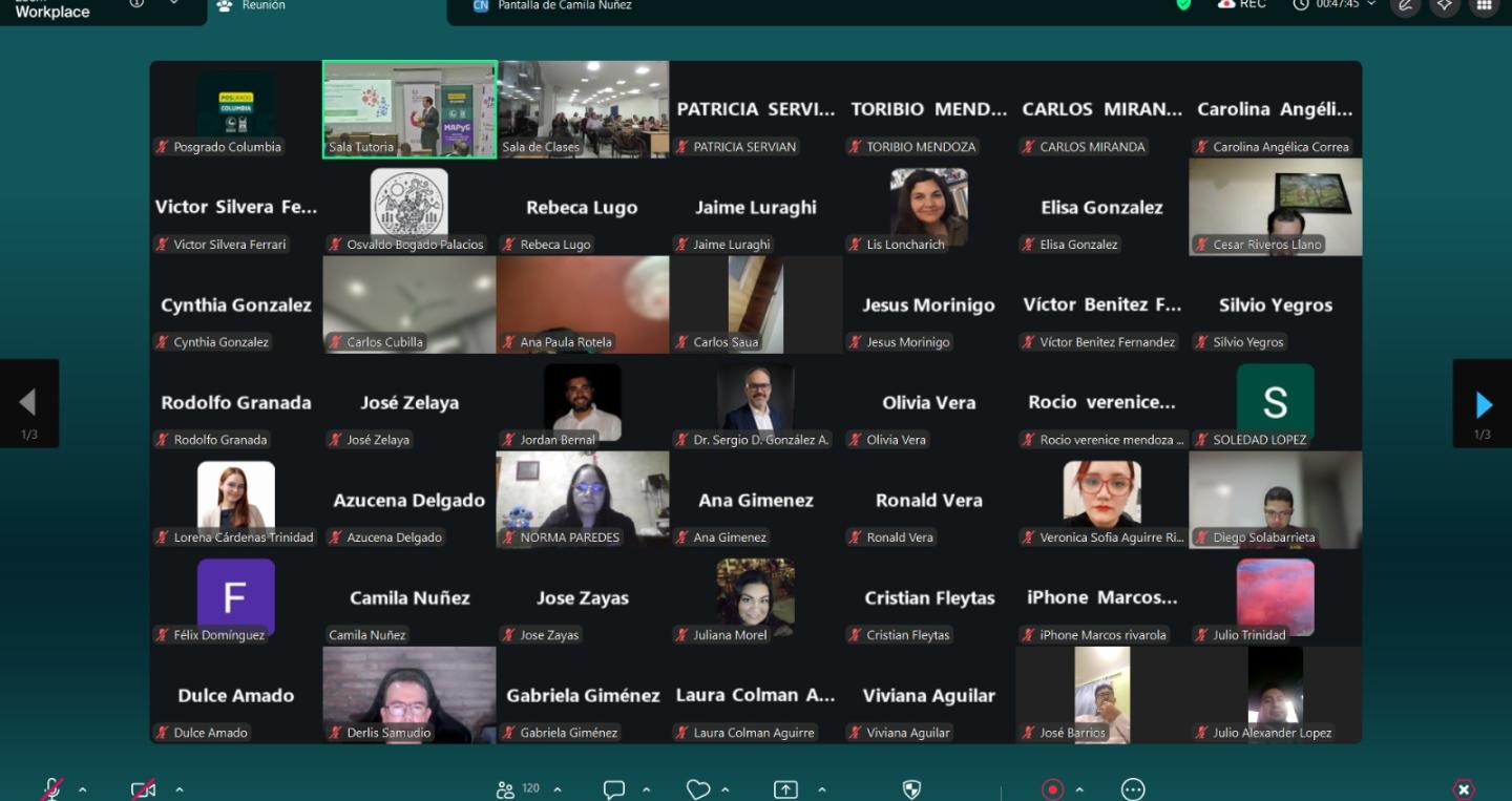 Participación online