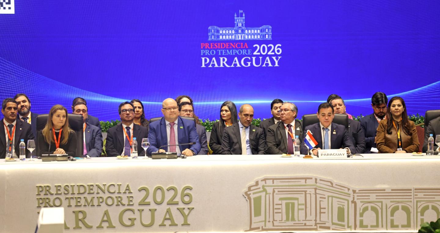 Ministro en Plenaria del Mercosur