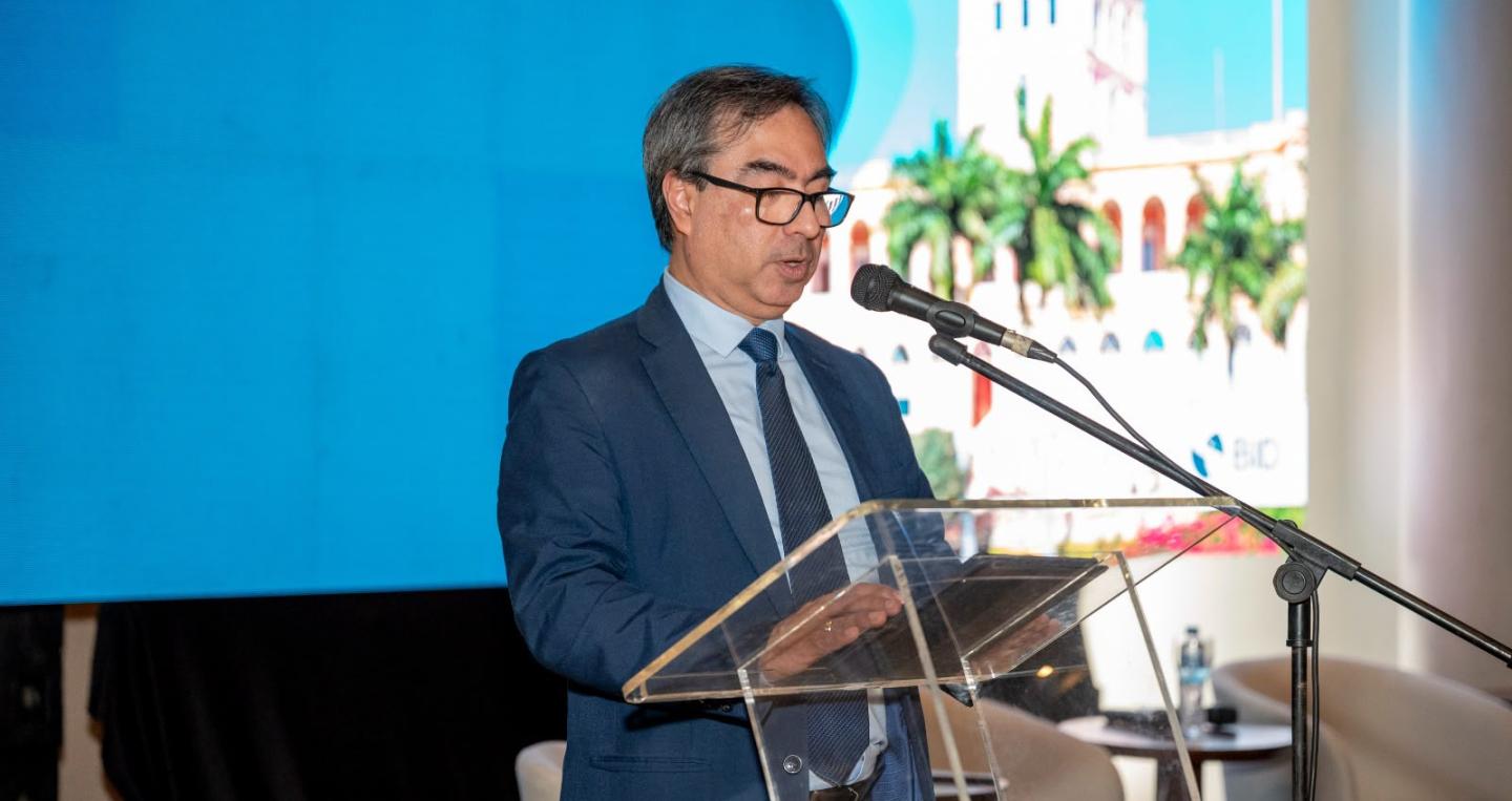 Viceministro