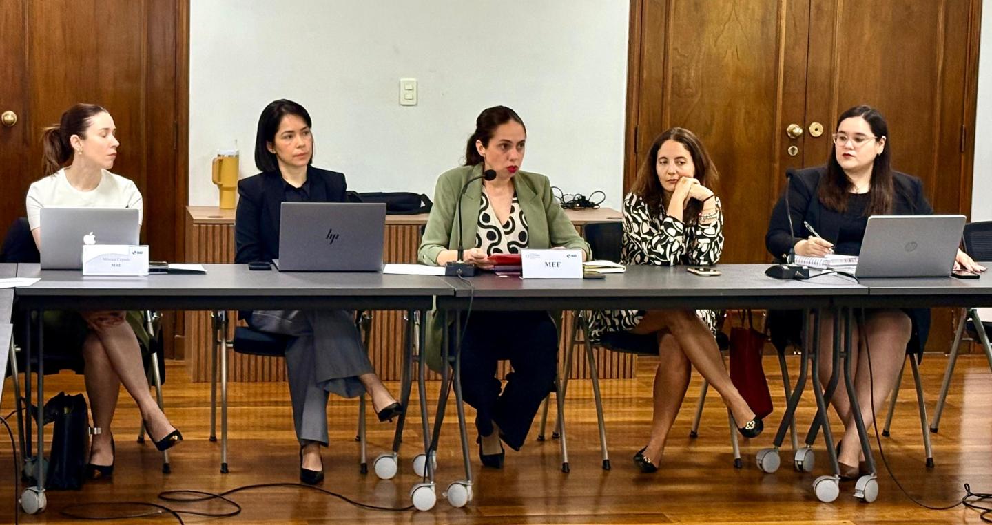 Representantes del MEF