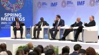 Ministro Fernández en Panel del FMI