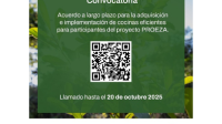 flyer proeza 