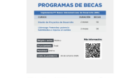 Flyer Becas BID 