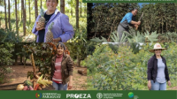 Flyer PROEZA 