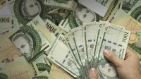 Pago a proveedores