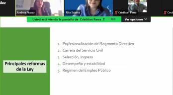 Viceministra Andrea Picaso en taller virtual