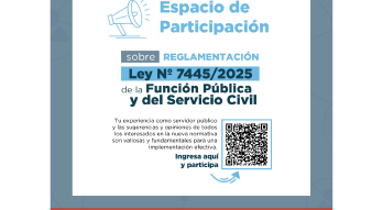Flyer Ley de la Función Pública 