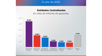 Flyer Ejecución Presupuestaria