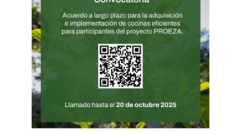 flyer proeza 
