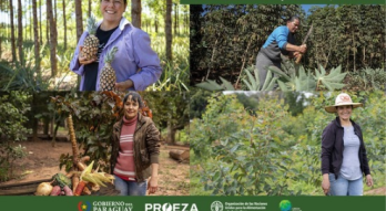 Flyer PROEZA 