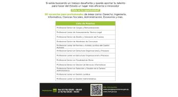 Flyer concurso público 