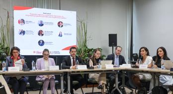 Viceministra Andrea Picaso en OCDE 