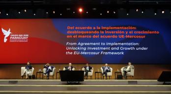 Panel Diálogo Público - Privado 