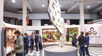 Visita a Museo de Economía