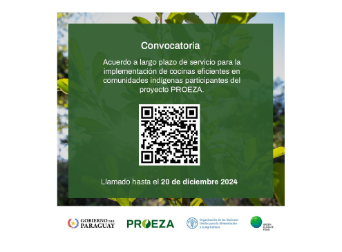 Flyer sobre Cocinas eficientes de Proeza