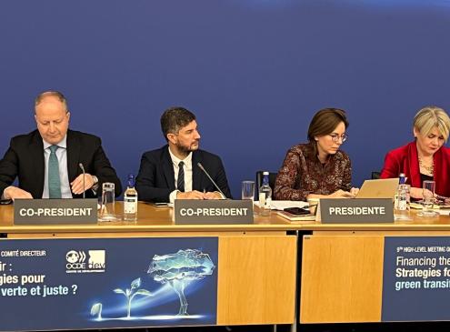 Panel General OCDE