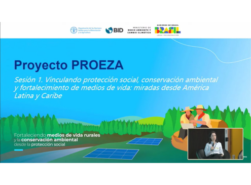 Flyer presentación PROEZA