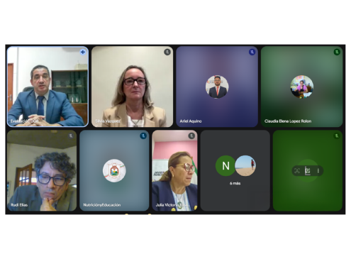 reunión vía zoom de Presupuesto