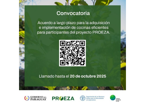 flyer proeza 