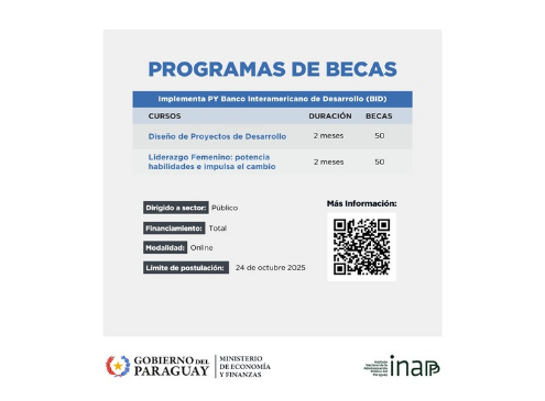 Flyer Becas BID