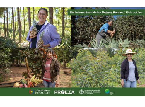 Flyer PROEZA