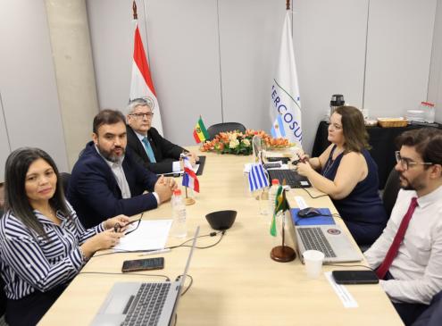 Reunión Técnica del Mercosur