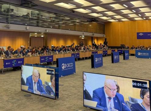 Ministro en OCDE